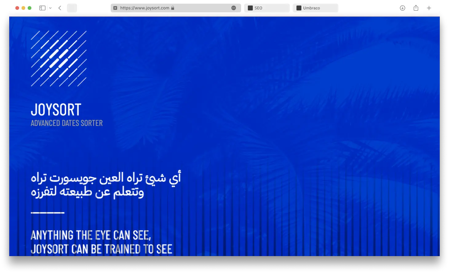 A fast Astro JS website landing page English & Arabic